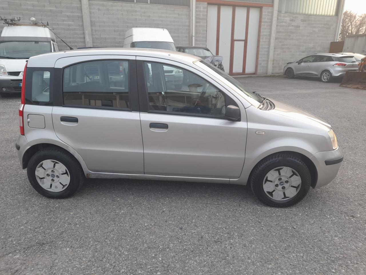 Fiat Panda 1100 i.e. cat Young