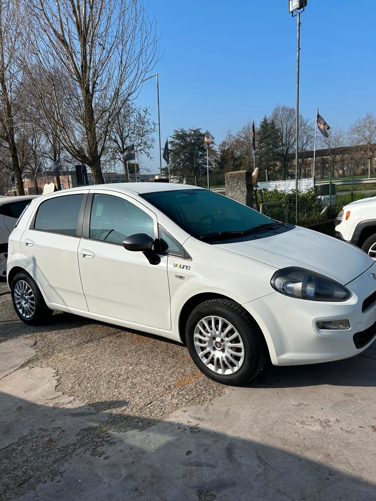 Fiat Punto 1.2 8V 5 porte Lounge ok neo patentati