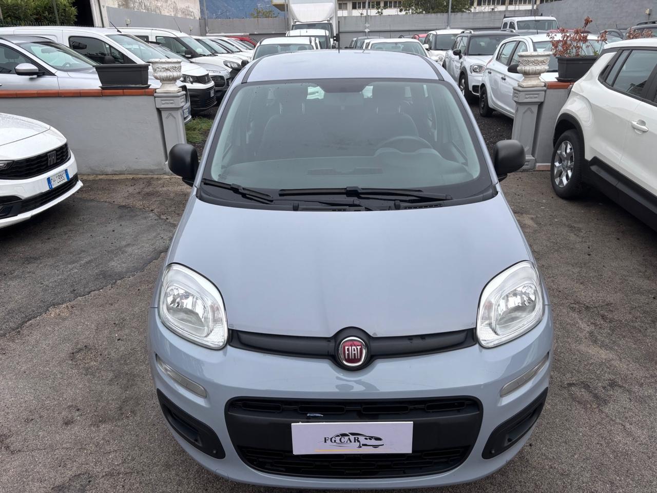 Fiat Panda 1.0 FireFly S&S Hybrid Easy