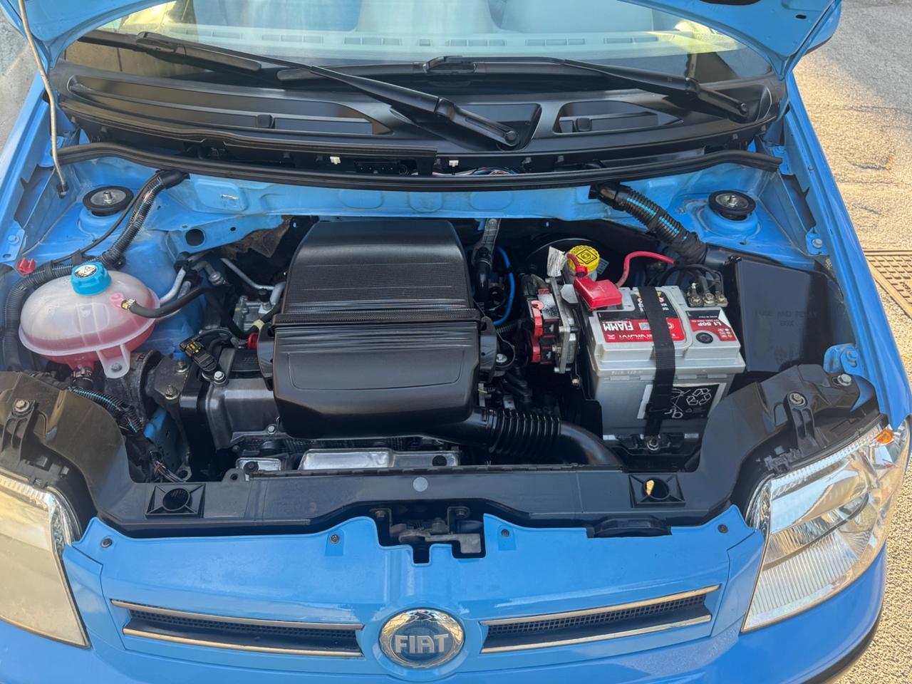 Fiat Panda 1.2 Dynamic AUTOMATICA