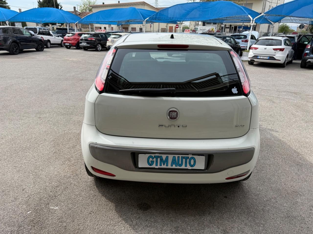 Fiat Punto Evo 1.4 5 porte - OK Neopatentati