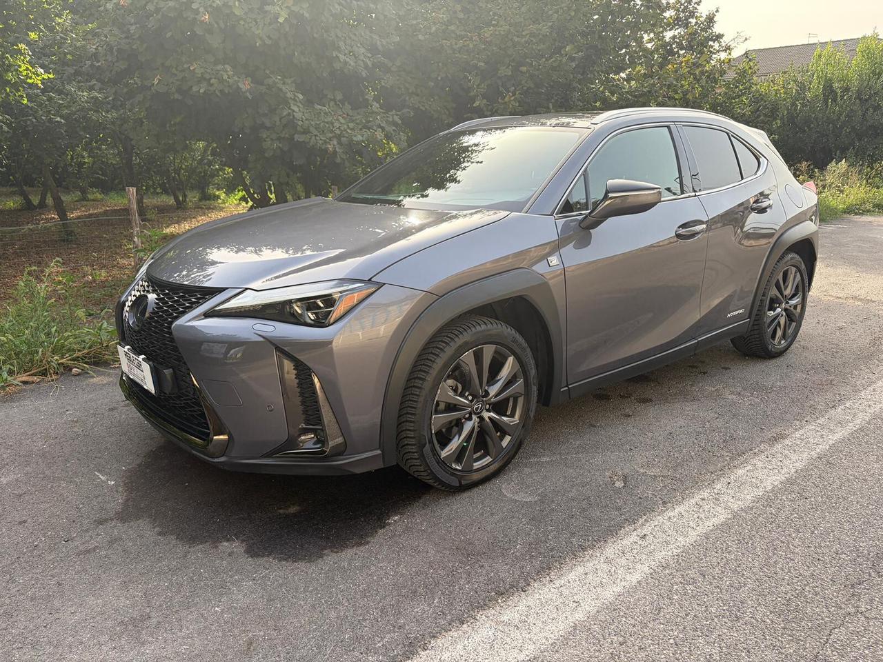 Lexus UX 2.0 Hybrid 152cv Tetto F Sport