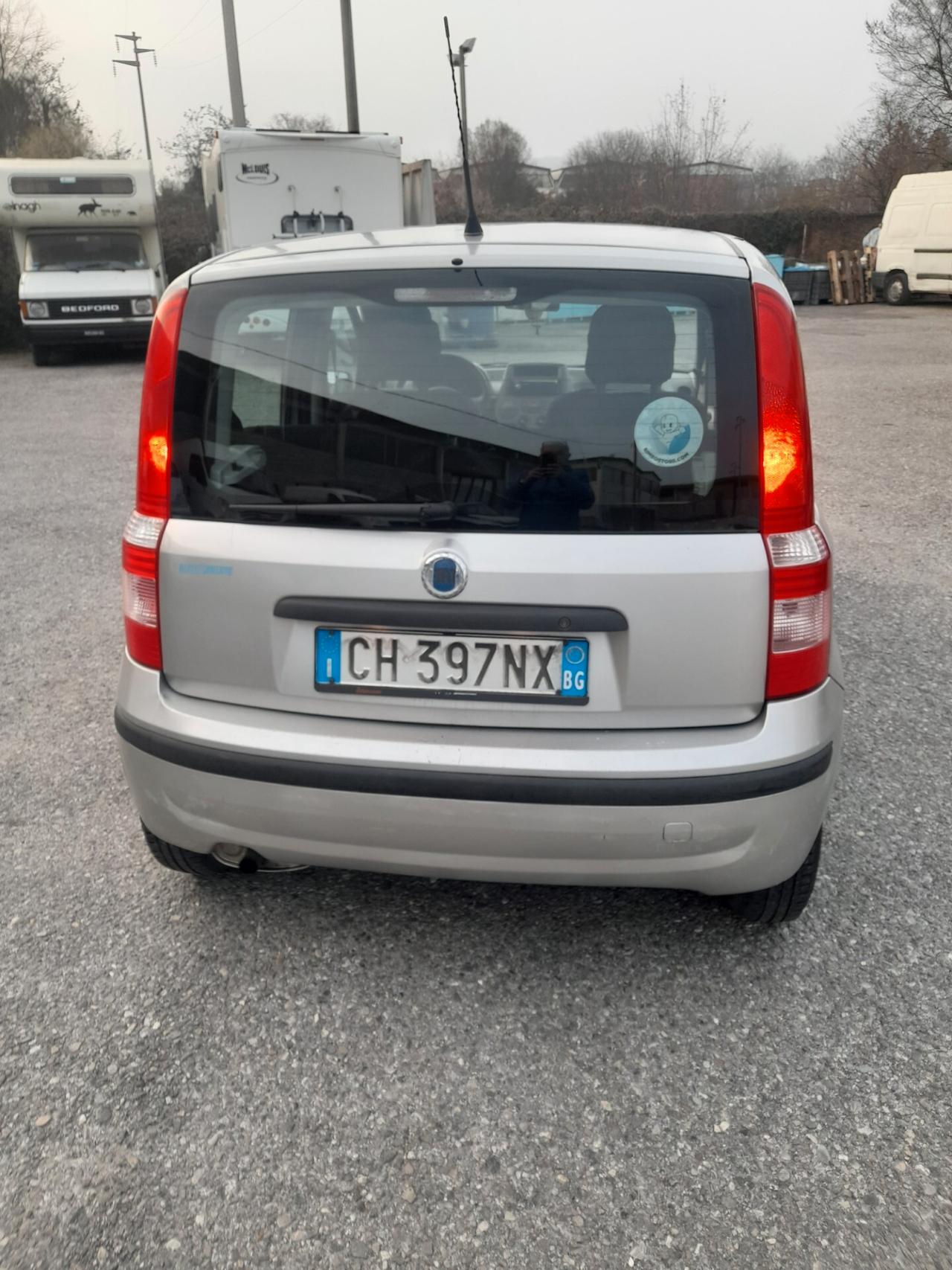 Fiat Panda 1100 i.e. cat Young