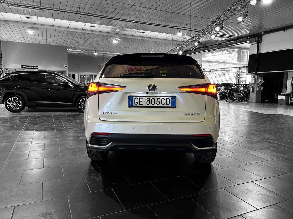 Lexus NX 300 300 2.5 Hybrid Luxury 4WD CVT