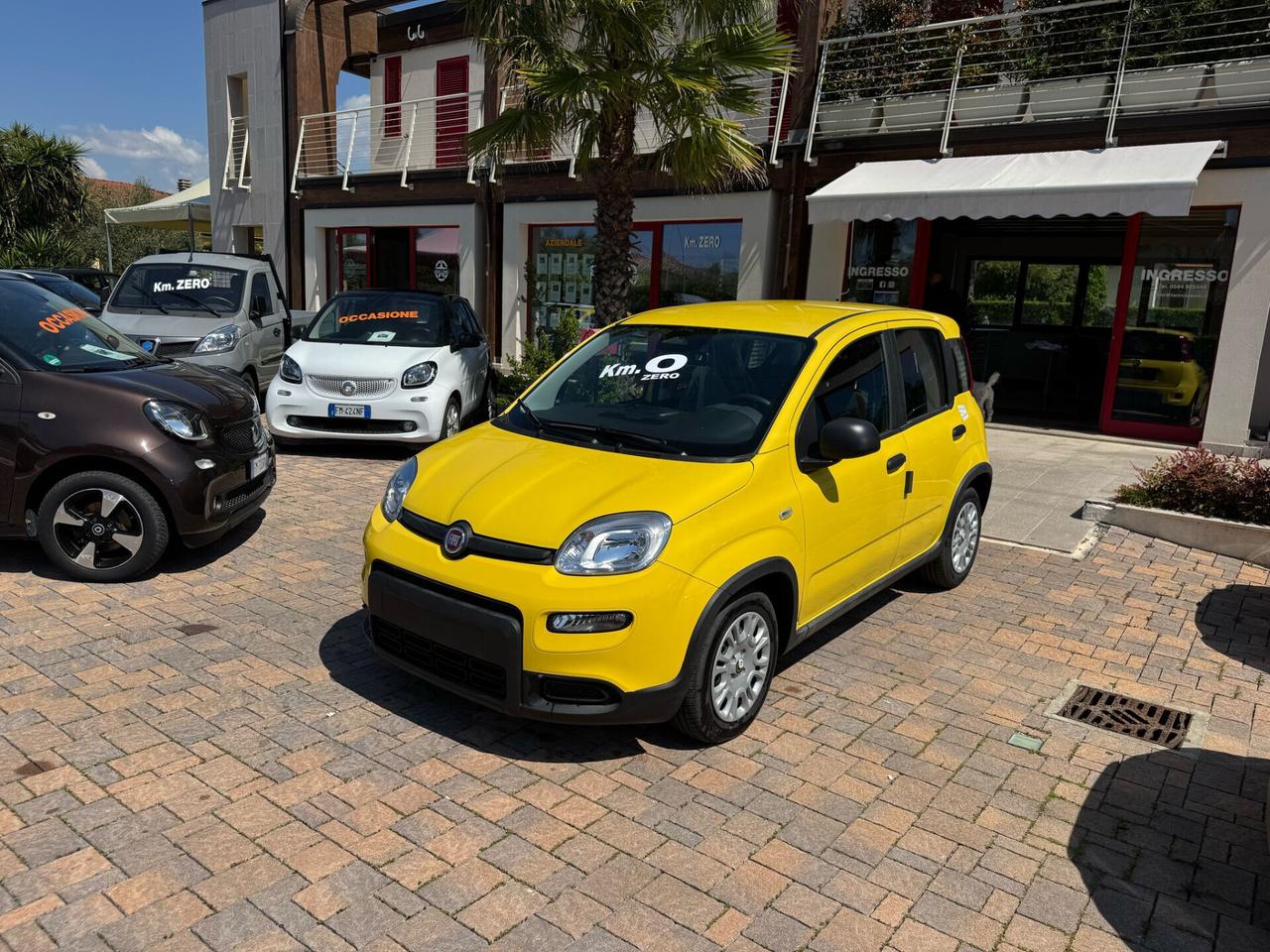 Fiat Panda 1.0 FireFly S&S Hybrid PREZZO PROMO 13.990,00 TUA A 173,00 EURO AL MESE 0 ANTICIPO 0 MAXIRATA