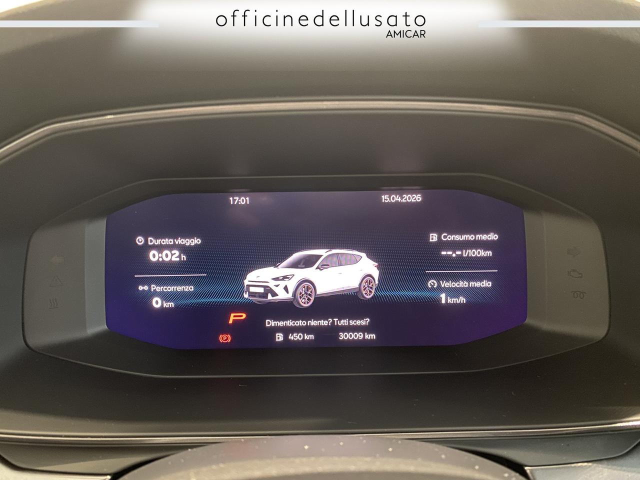 Cupra Formentor 2.0 tdi 150cv dsg