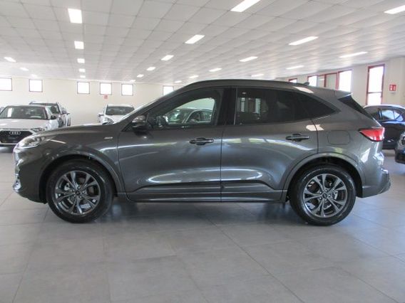FORD Kuga 1.5 EcoBlue 120 CV aut. 2WD ST-Line X - KM0