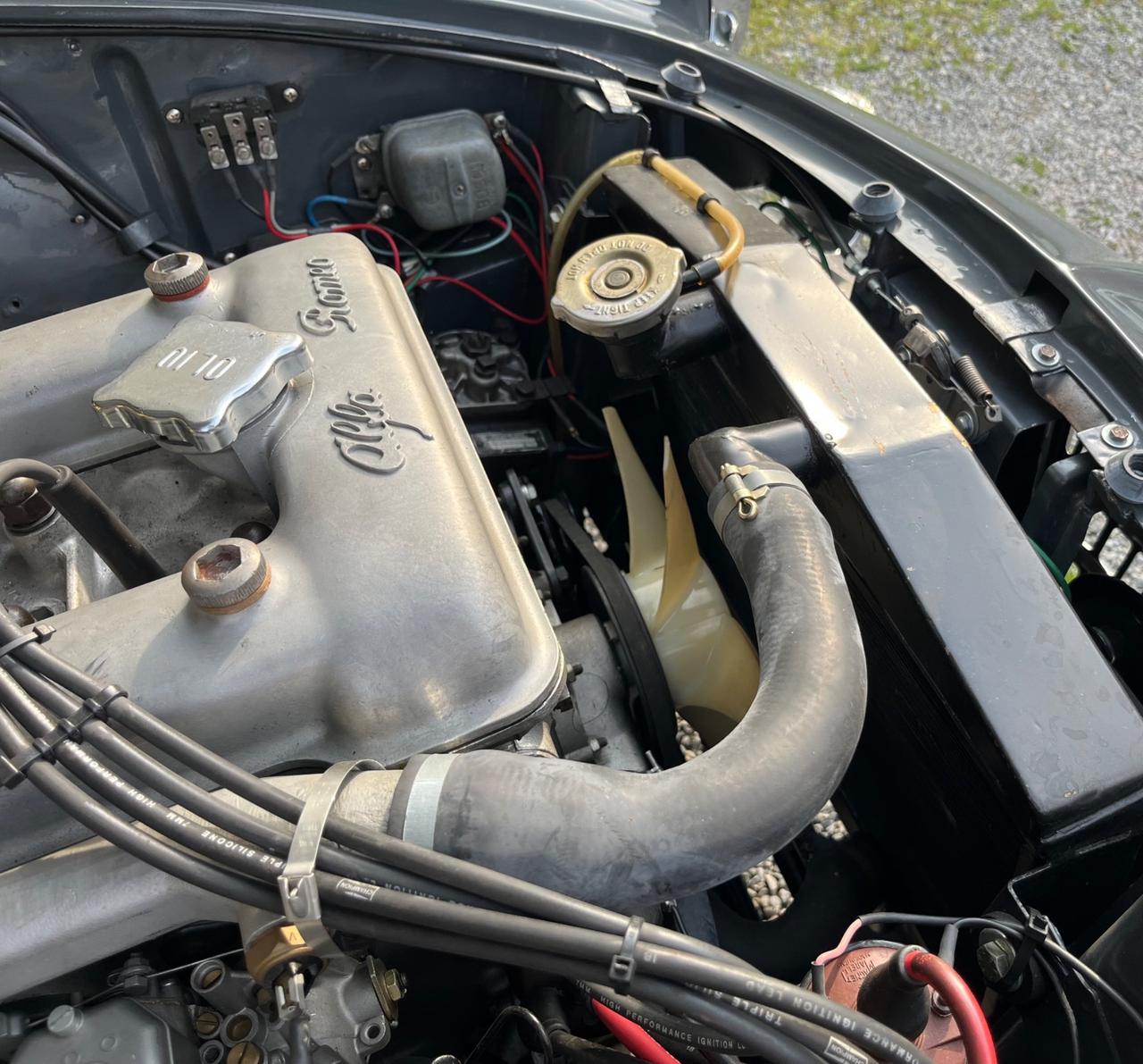 Alfa Romeo Giulia Spider