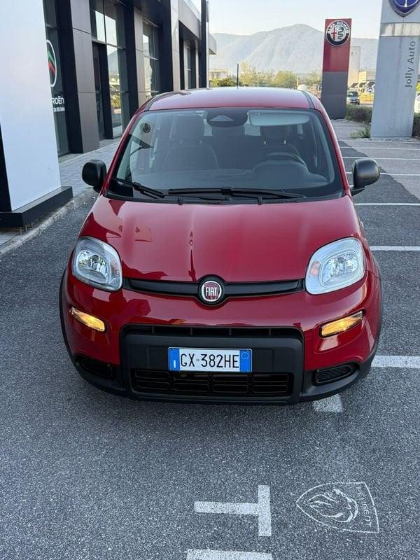 FIAT Panda NEW 1.0 70cv Hybrid PANDA