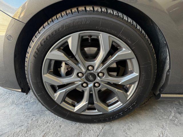 FORD Focus 1.5 EcoBlue 115 CV automatico SW ST-Line