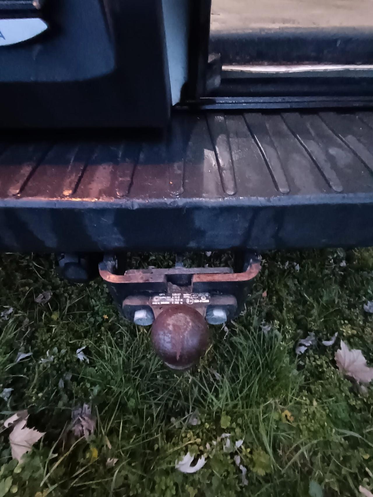 Ford Transit 350 2.0TDCi EcoBlue 170CV PM-TM Furgone Trend