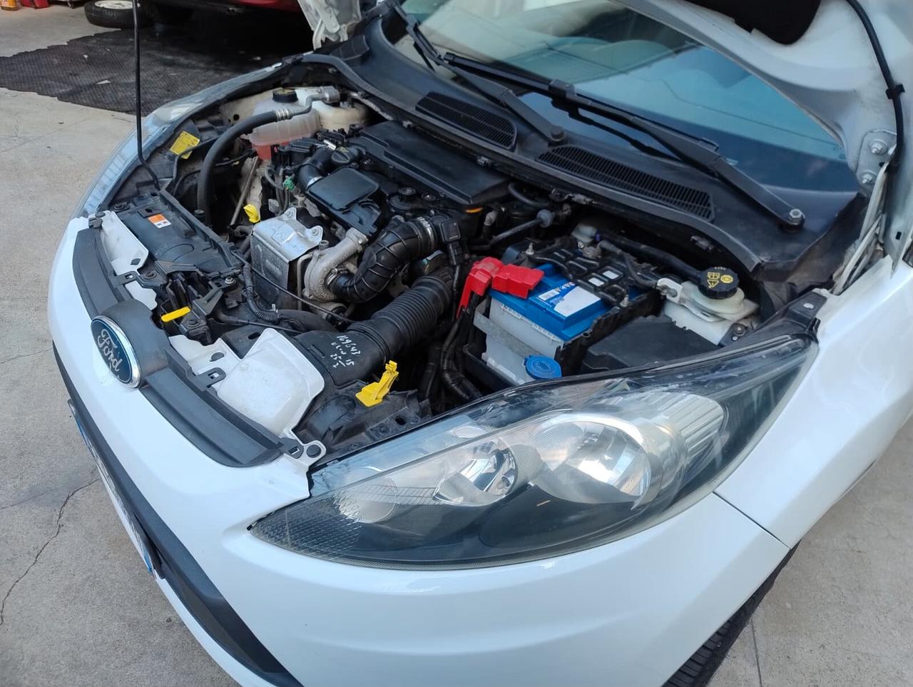 Ford Fiesta Fiesta+ 1.4 TDCi 70CV 5p. N1 Business