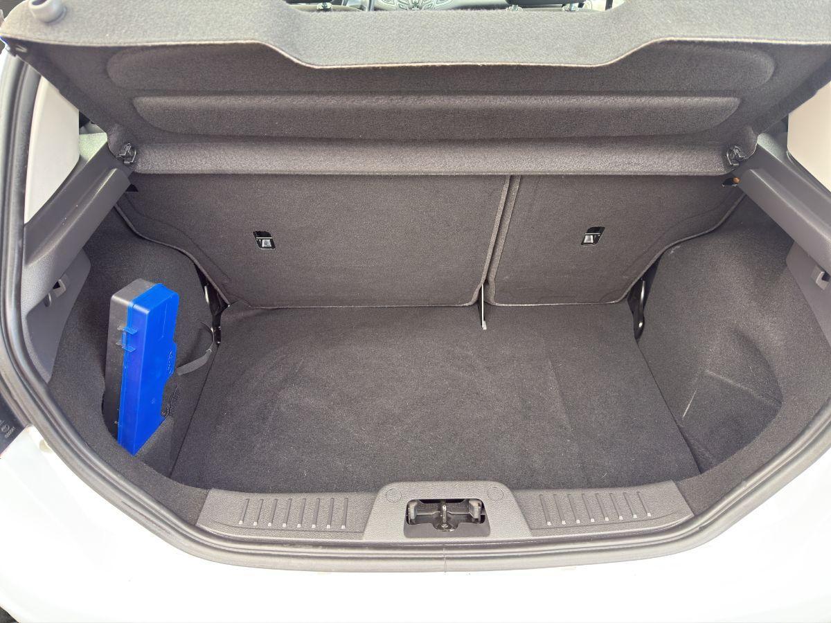 FORD - Fiesta - 1.5 TDCi 75 CV 5p. Black & White Edition