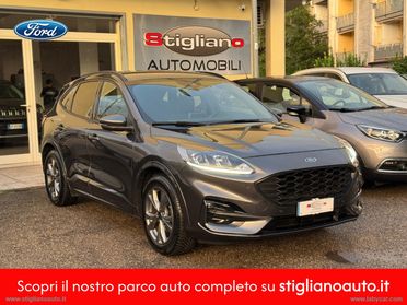FORD Kuga 2.0 EcoBlue 120 CV aut. 2WD ST-Line
