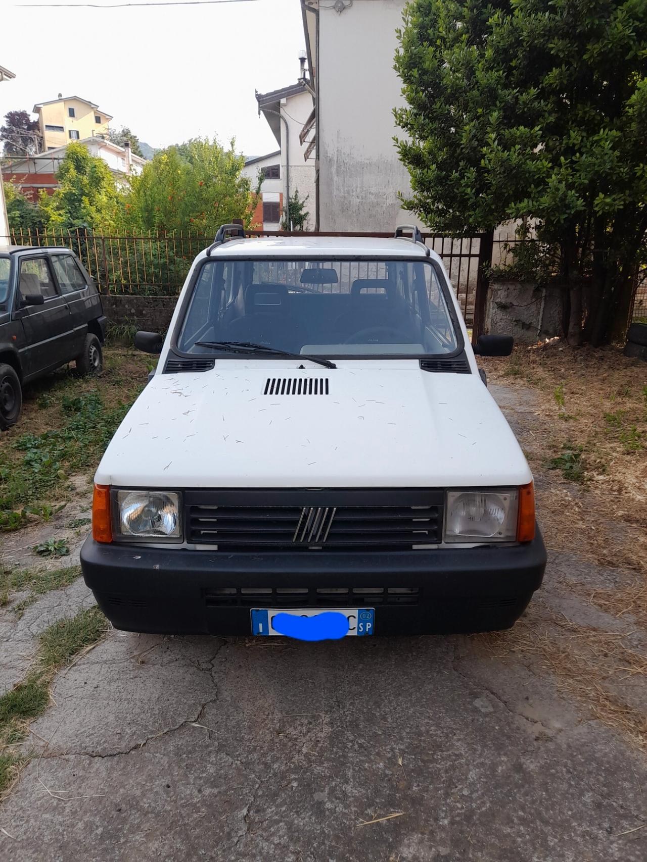 Fiat Panda 1100 i.e. cat Young