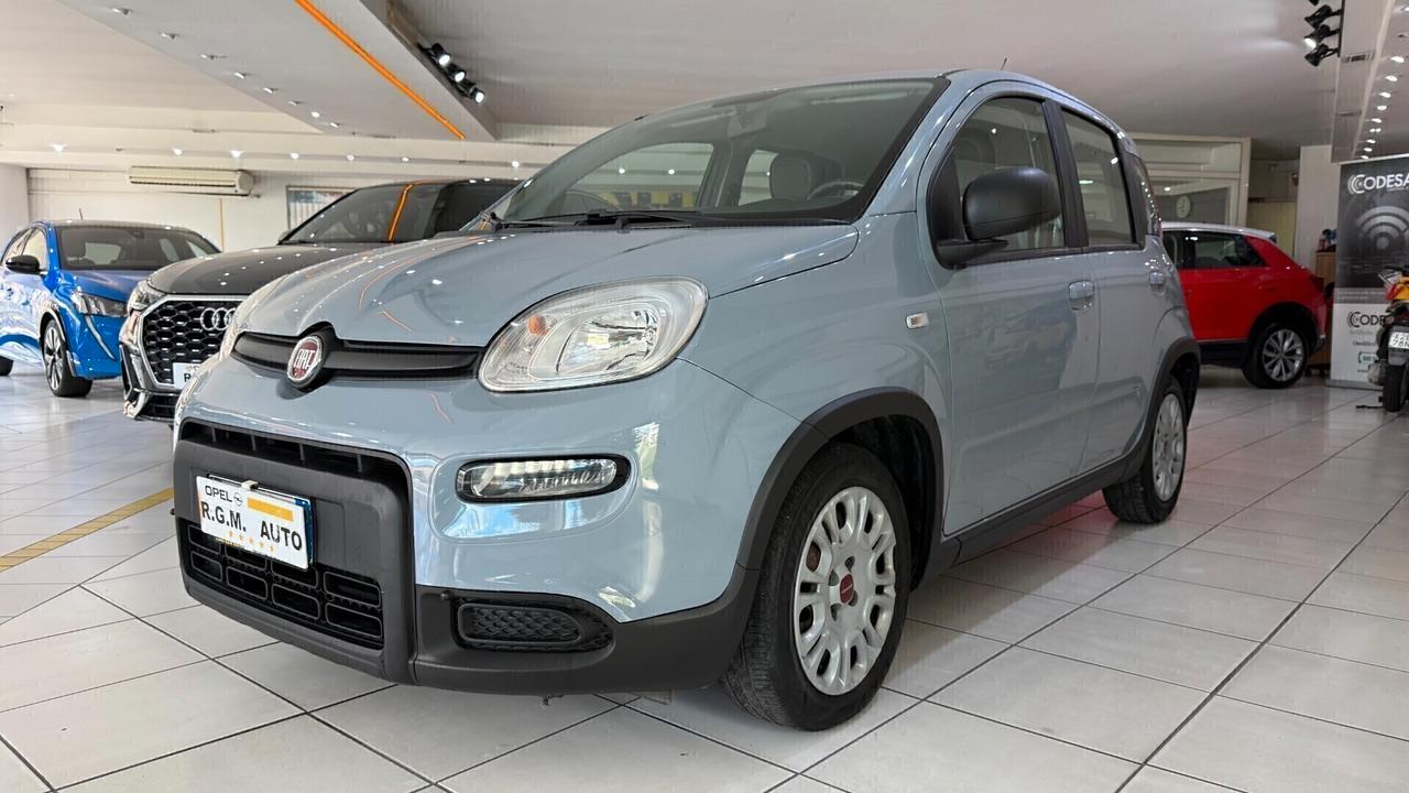 Fiat Panda 1.0 FireFly S&S Hybrid City Life TOUCH + BLUETHOOT + BLOCK SHAFT