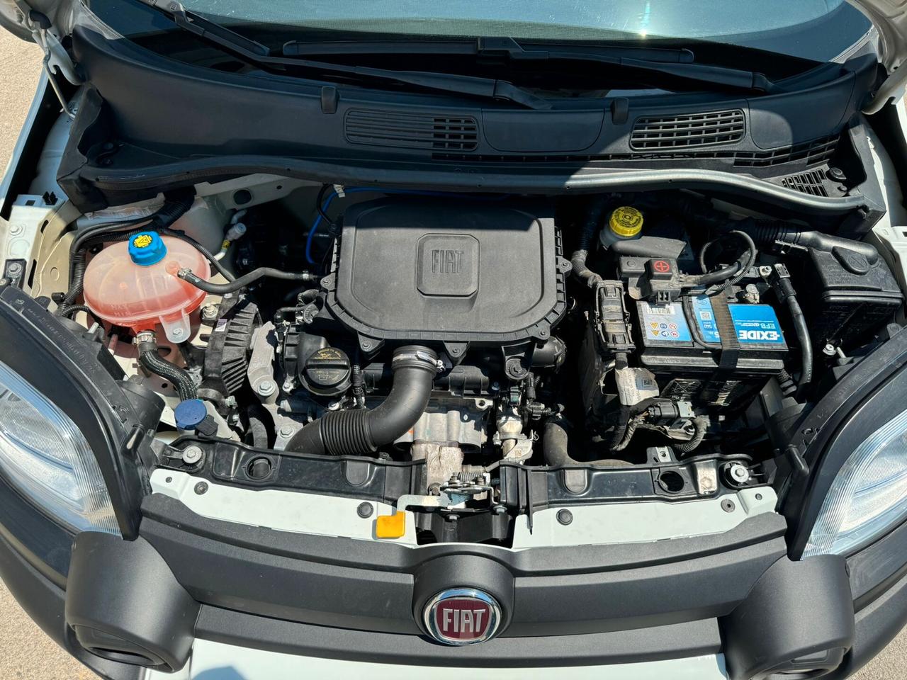 FIAT PANDA 1.0 70 CV. S&S HYBRID E6D-T CITY CROSS [RIF: 3624]