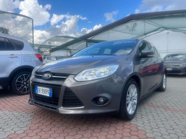 FORD Focus Focus 5p 1.6 tdci Titanium 115cv