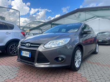 FORD Focus Focus 5p 1.6 tdci Titanium 115cv