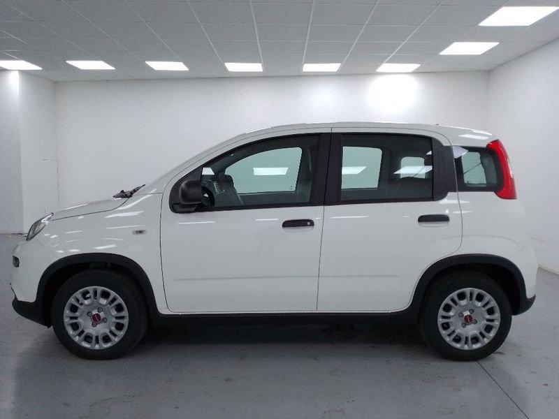 FIAT Panda 1.2 easypower Gpl s&s 69cv