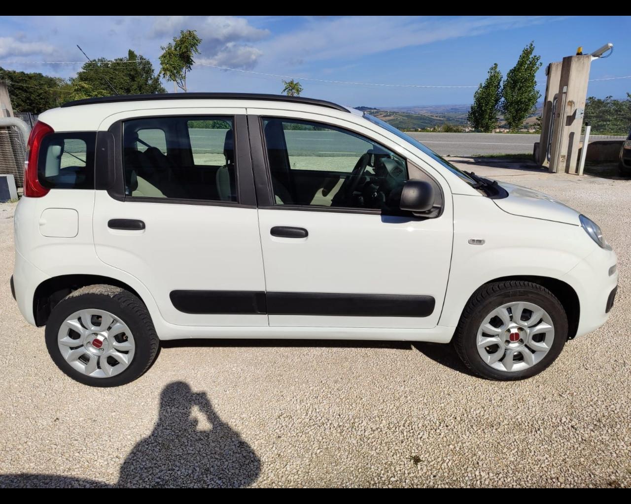FIAT Panda 3ª serie - Panda 0.9 TwinAir Turbo Natural Power Easy