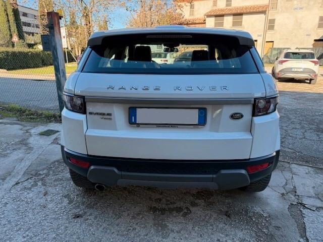 Land Rover Range Evoque 2.2 TD4 5p. Pure
