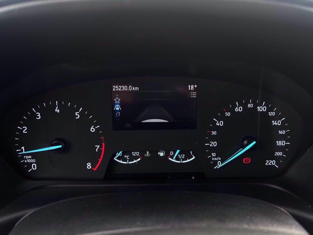 FORD Fiesta Active 1.0 ecoboost h 125cv del 2022