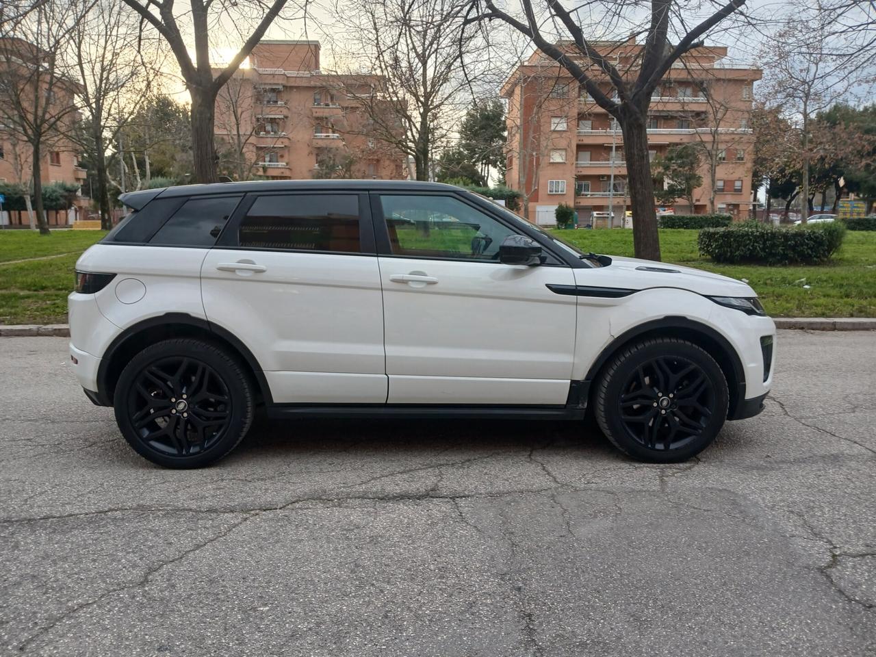 Land Rover Range Evoque 2.0 TD4 180 CV 5p. Business Edition SE