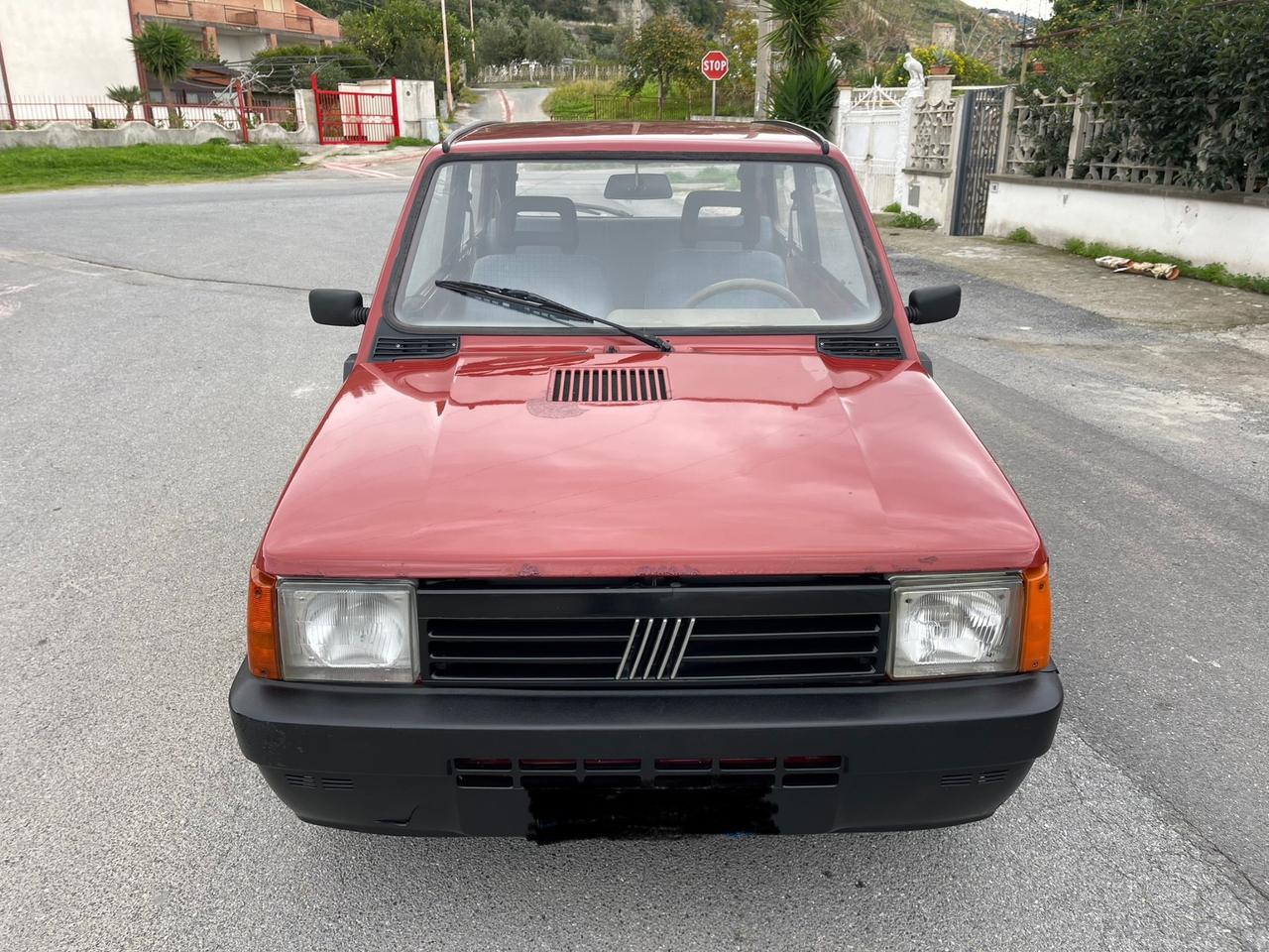 Fiat Panda 1100 i.e. cat Young