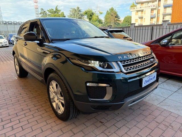 LAND ROVER Range Rover Evoque 2.0 eD4 5p. Business Edition Premium Pure