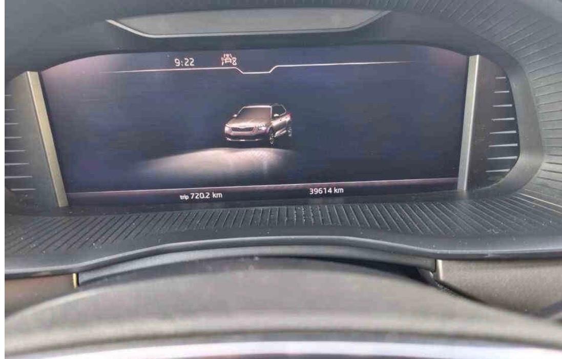 Skoda Kamiq 1.0 TSI 110 CV DSG Style