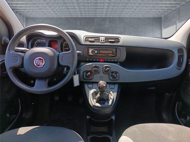 FIAT Panda 3ª serie 1.0 FireFly S&S Hybrid
