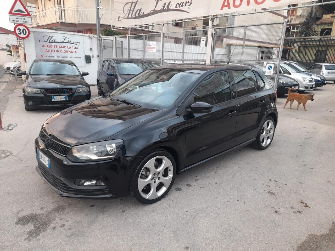 Volkswagen Polo 1.6cc diesel 12 mesi garanzia-2009