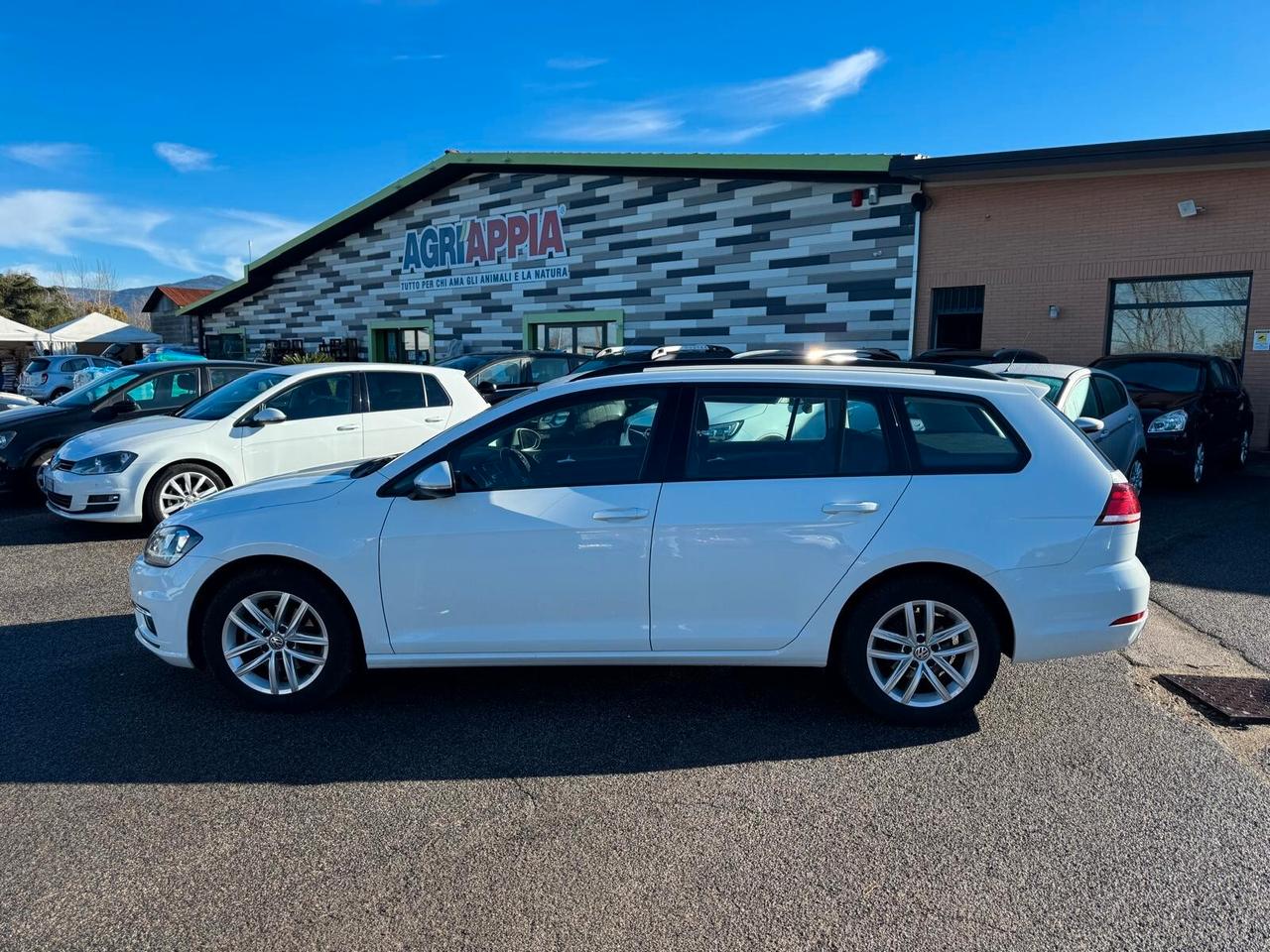 Volkswagen Golf Variant 7.5 1.6 TDI 115CV DSG EXECUTIVE BMT 2019