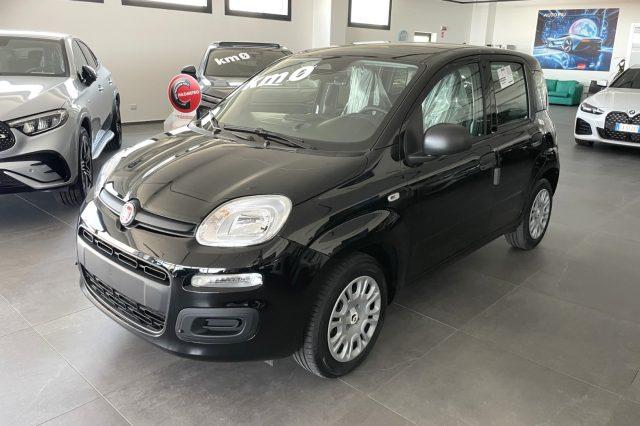 FIAT Panda 1.0 Hybrid 70 CV Icon KM0 MY 26
