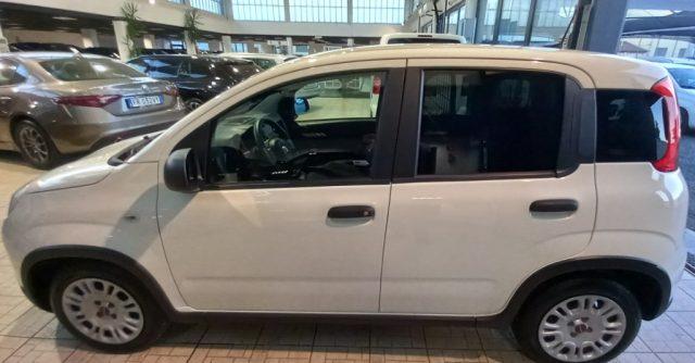 FIAT Panda 1.0 S&S Hybrid Van 2 posti
