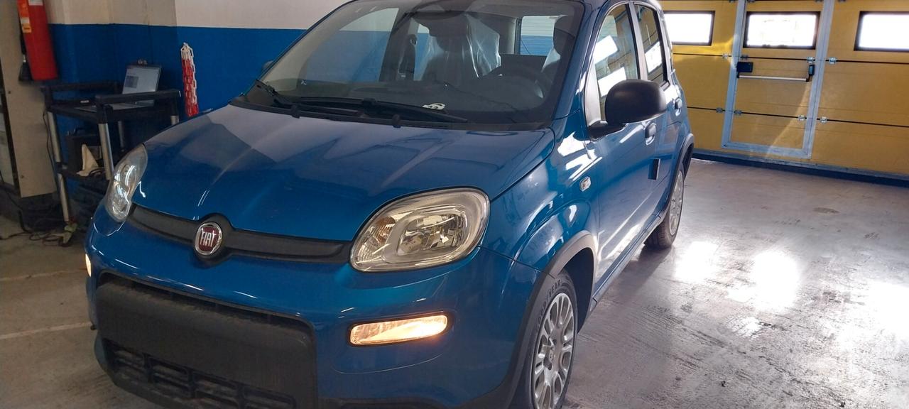 Fiat Panda 1.0 FireFly S&S Hybrid Pandina