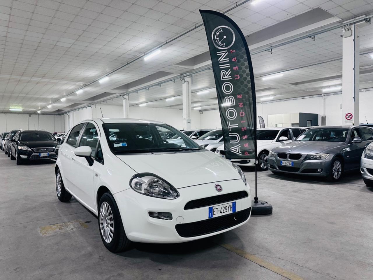 Fiat Punto 1.2 8V 5 porte Street