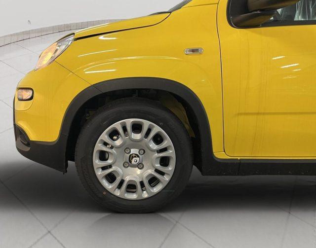 FIAT Panda 1.0 FireFly S&S Hybrid ADAS PROMO CAR SERENITY