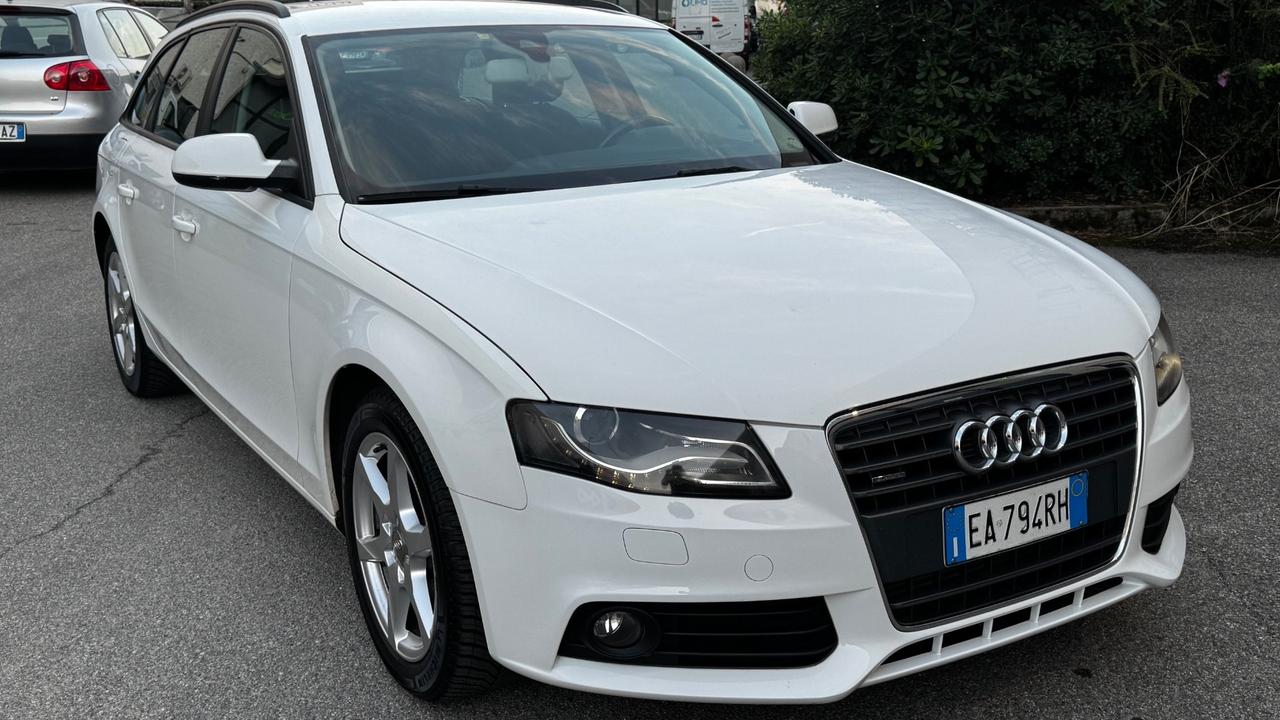 Audi A4 Avant 2.0 TDI 170CV F.AP. quattro . Amb.