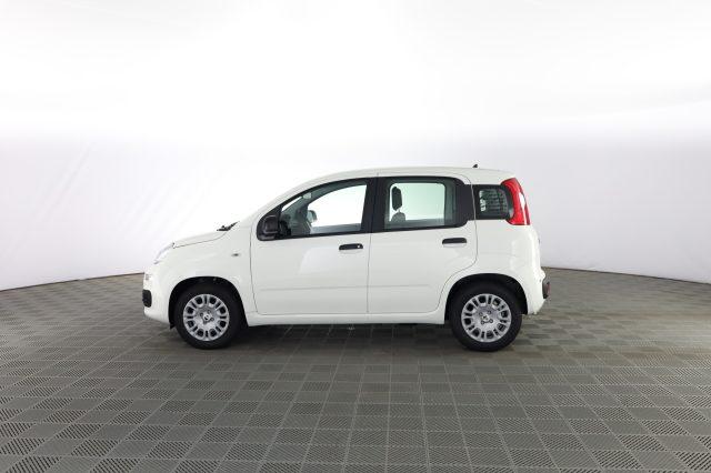 FIAT Panda Panda 1.0 FireFly S&S Hybrid Pop