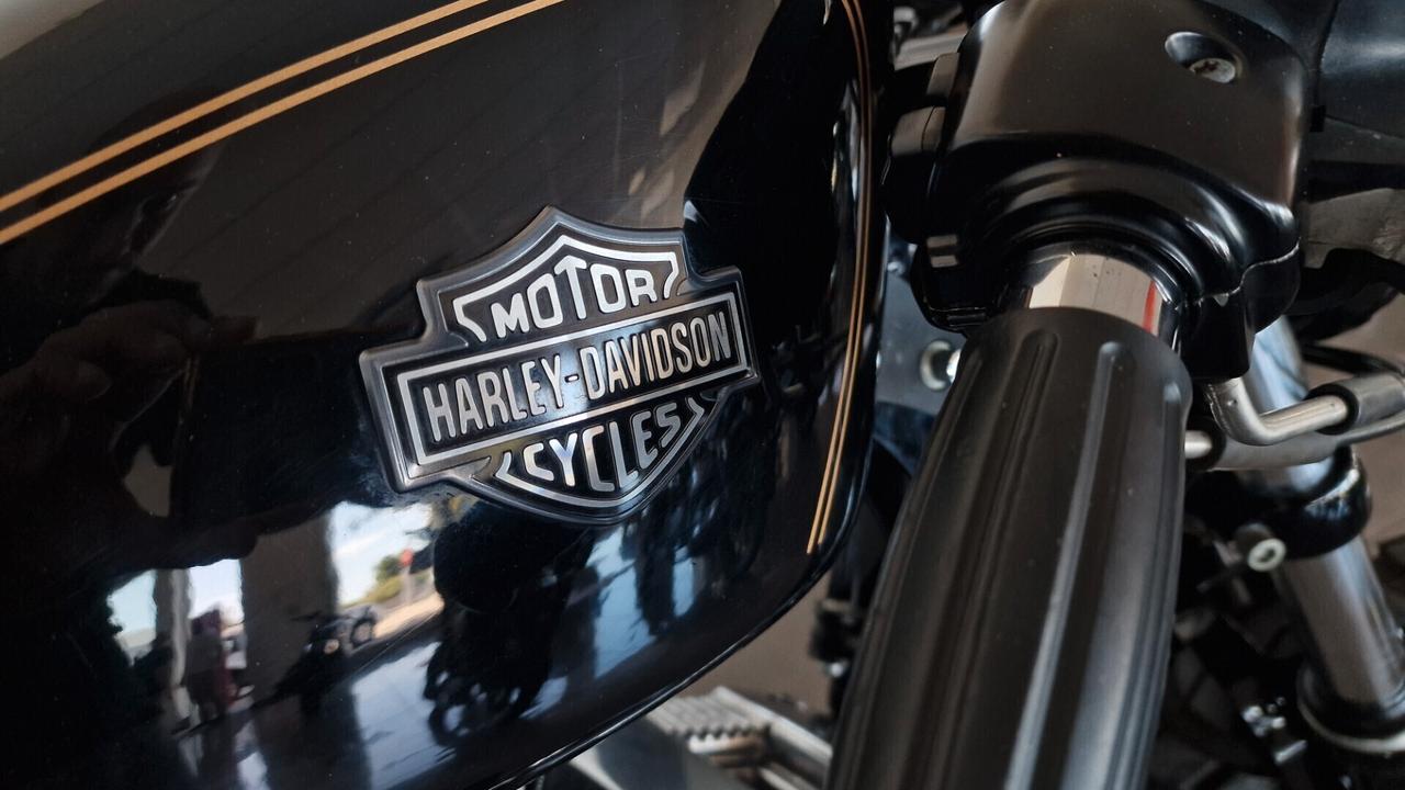 Harley-Davidson XL 883 CAFE' RACER