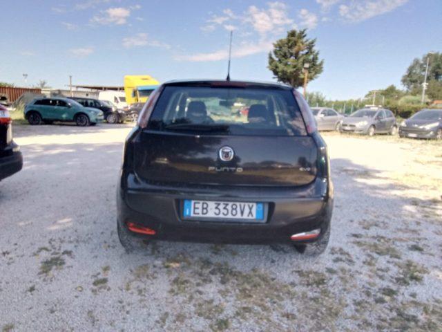 FIAT Punto Evo 1.3 Mjt 75 CV 5 porte Active PER NEOPATENTATI