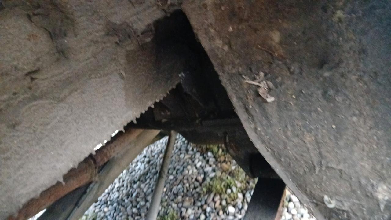 Peugeot 504 testa da fare