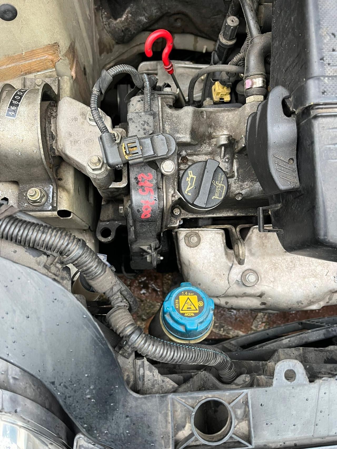 Fiat Panda 1.1 Actual