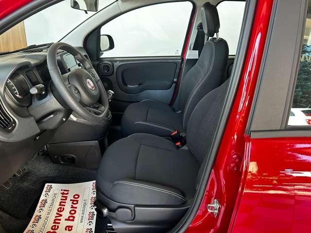 Fiat Panda 1.0 firefly Hybrid S&S 70 cv