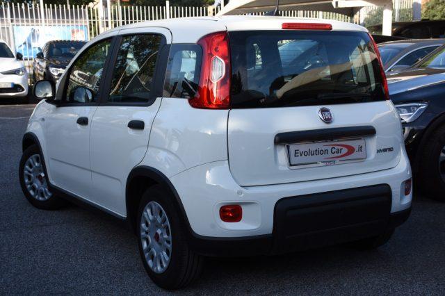 FIAT Panda 1.0 FireFly S&S Hybrid **5 POSTI**
