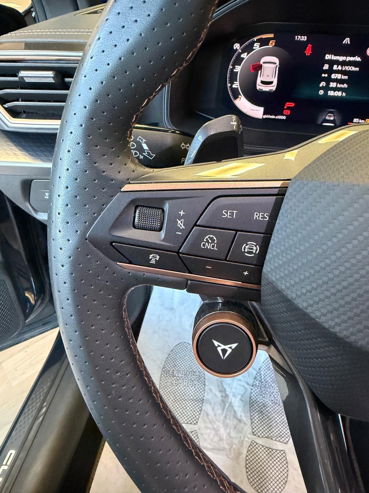 Cupra Formentor 2.0 TDI DSG