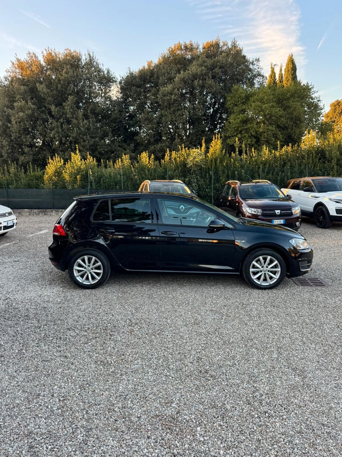 Volkswagen Golf 1.6 TDI 110 CV 5p. Executive BlueMotion Technology