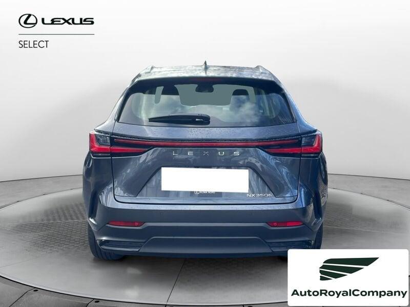Lexus NX Hybrid Business+ 4WD IVA ESPOSTA KM 13900